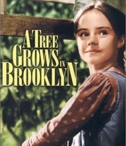A Tree Grows in Brooklyn (1974) DVD