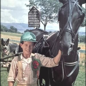 Born to Run (1979) DVD Movie