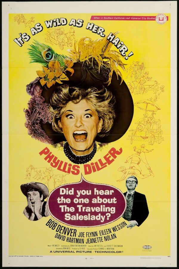 Did You Hear the One About the Traveling Saleslady (1968) DVD