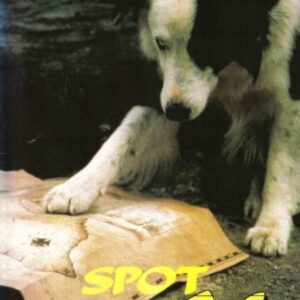 Spot Marks the X (1986) DVD Movie