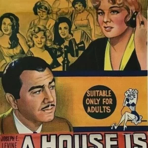 A House Is Not a Home (1964) DVD Movie