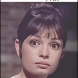 Gidget Grows Up (1969) DVD