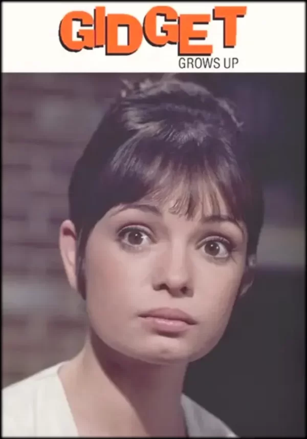 Gidget Grows Up (1969) DVD