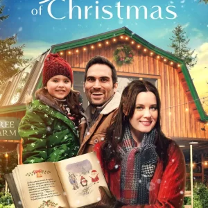 The Picture of Christmas DVD Movie