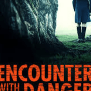Encounter With Danger (2009) DVD