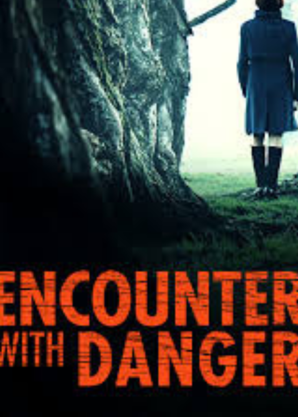 Encounter With Danger (2009) DVD