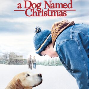 A Dog Named Christmas DVD Movie