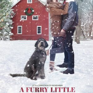 A Furry Little Christmas (2021) DVD Movie