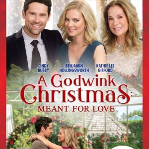 A Godwink Christmas - Meant For Love (2019) DVD Movie