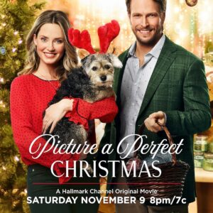 Picture A Perfect Christmas (2019)