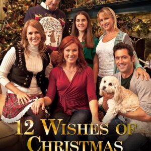 12 Wishes of Christmas 2011 on DVD Movie $9.99
