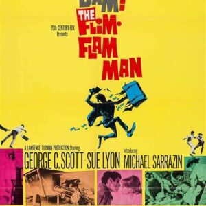 The Flim Flam Man 1967 on DVD Movie $9.99