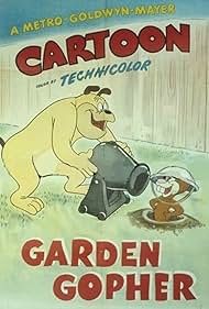 Garden Gopher (1950) Starring Sara Berner on DVD