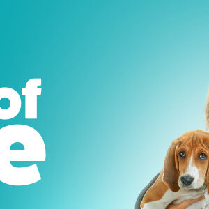 A Tail of Love DVD Family movie On Sale $9.99