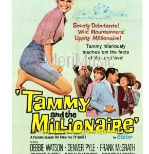 Tammy and the Millionaire 1967 on DVD Movie $9.99