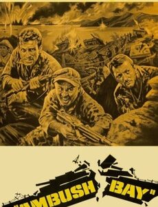 Ambush Bay (1966) Movie on DVD $9.99