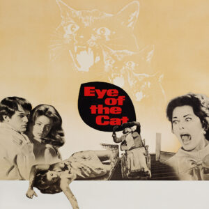 Eye of the Cat Movie on DVD $9.99