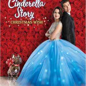 A Cinderella Story: A Christmas Wish Movie on DVD $9.99