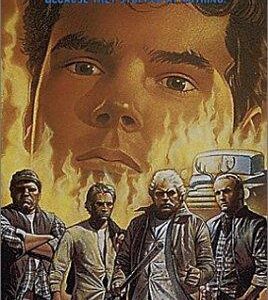 Bullies (1986) Movie on DVD $9.99