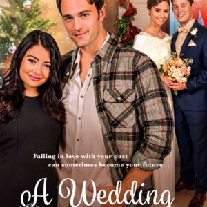 A Wedding For Christmas Movie on DVD $9.99