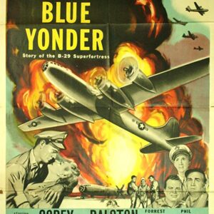 The Wild Blue Wonder Movie on DVD $9.99