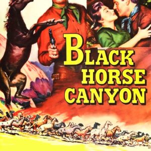 Black Horse Canyon (1954) Movie on DVD $9.99