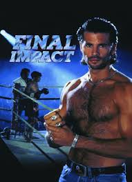 Final Impact 1992 Movie on DVD $9.99