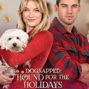 Dognapped: Hound for the Holidays Movie on DVD $9.99