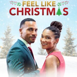 You Make It Feel Like Christmas Movie on DVD $9.99