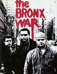 The Bronx War (1991) DVD Movie on DVD