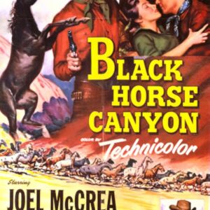 Black Horse Canyon (1954) Movie on DVD