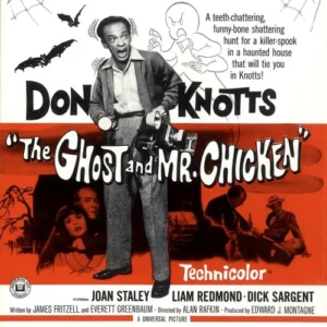 The Ghost and Mr. Chicken Movie on DVD (1966)