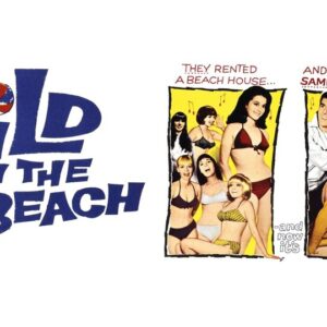 Wild on the Beach Movie on DVD (1965)