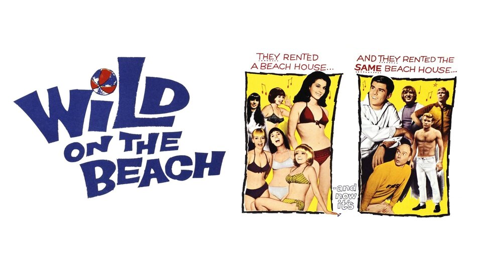 Wild on the Beach Movie on DVD (1965) 1 Wild on the Beach Movie on DVD (1965)
