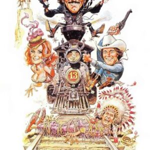 The Villain Movie on DVD (1979)