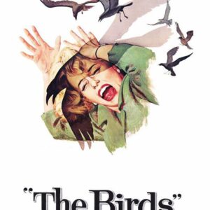 The Birds Movie on DVD (1963)