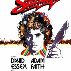 Stardust Movie on DVD (1974)