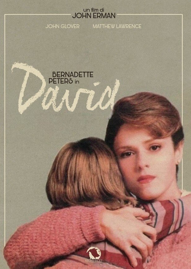 David Movie on DVD (1988) 1 David Movie on DVD (1988)