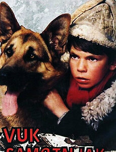 Lone Wolf Movie on DVD (1972)