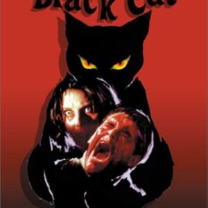 The Black Cat Movie on DVD (1981)