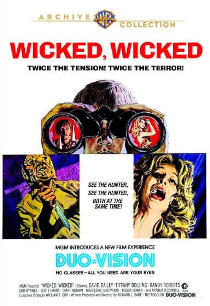 Wicked Wicked Movie on DVD (1973) 1 Wicked Wicked Movie on DVD (1973)