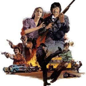 Mr. Majestyk Movie on DVD (1974)