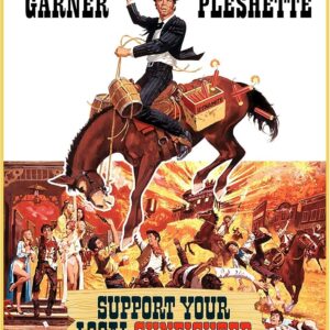 Support Your Local Gunfighter Movie on DVD (1971)