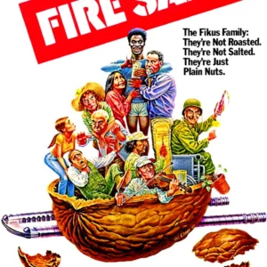 Fire Sale Movie on DVD (1977)