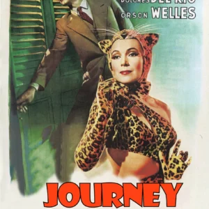 Journey Into Fear Movie on DVD (1943)