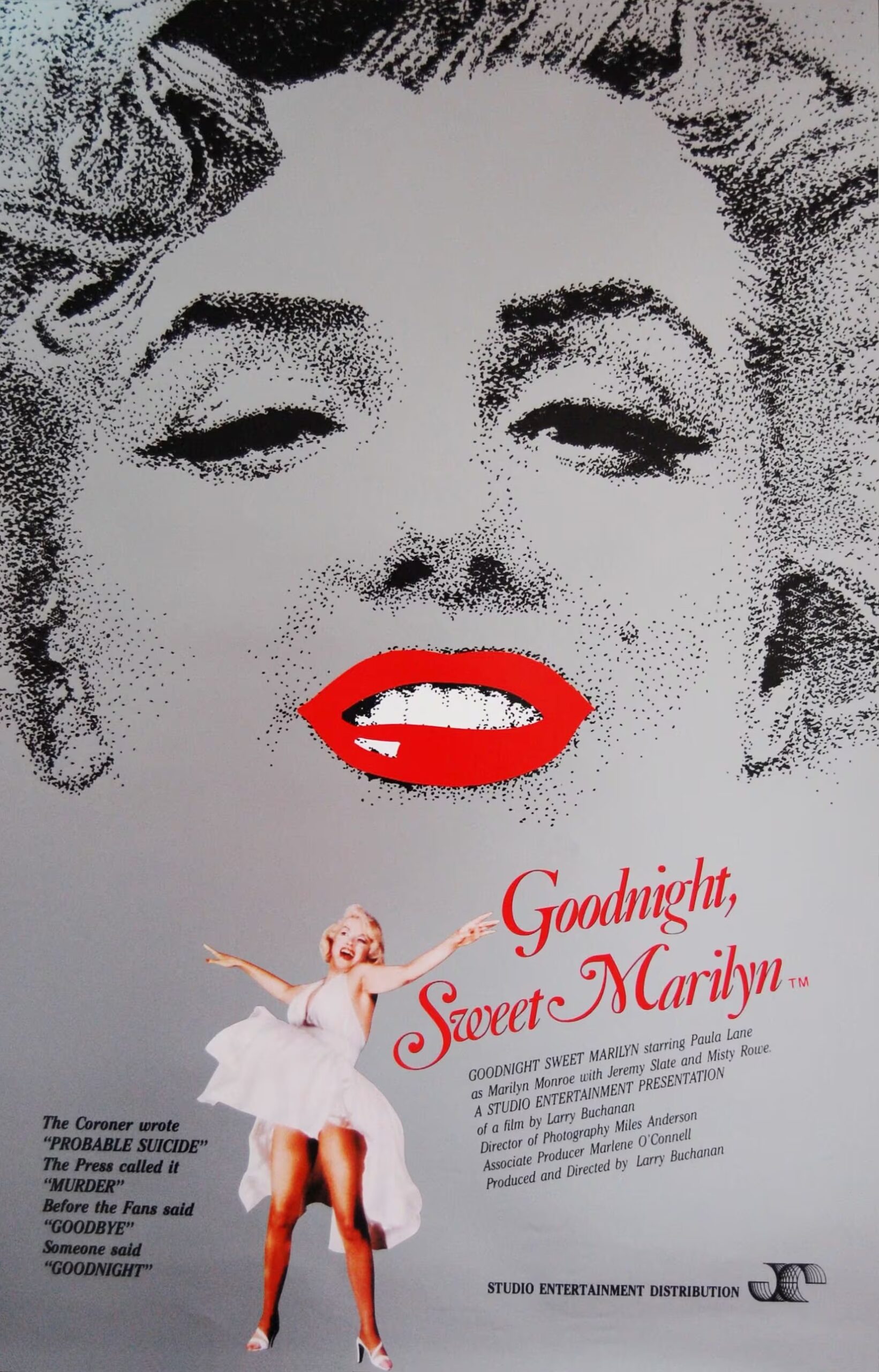 Goodnight Sweet Marilyn Movie on DVD (1989) 1 Goodnight Sweet Marilyn Movie on DVD (1989)