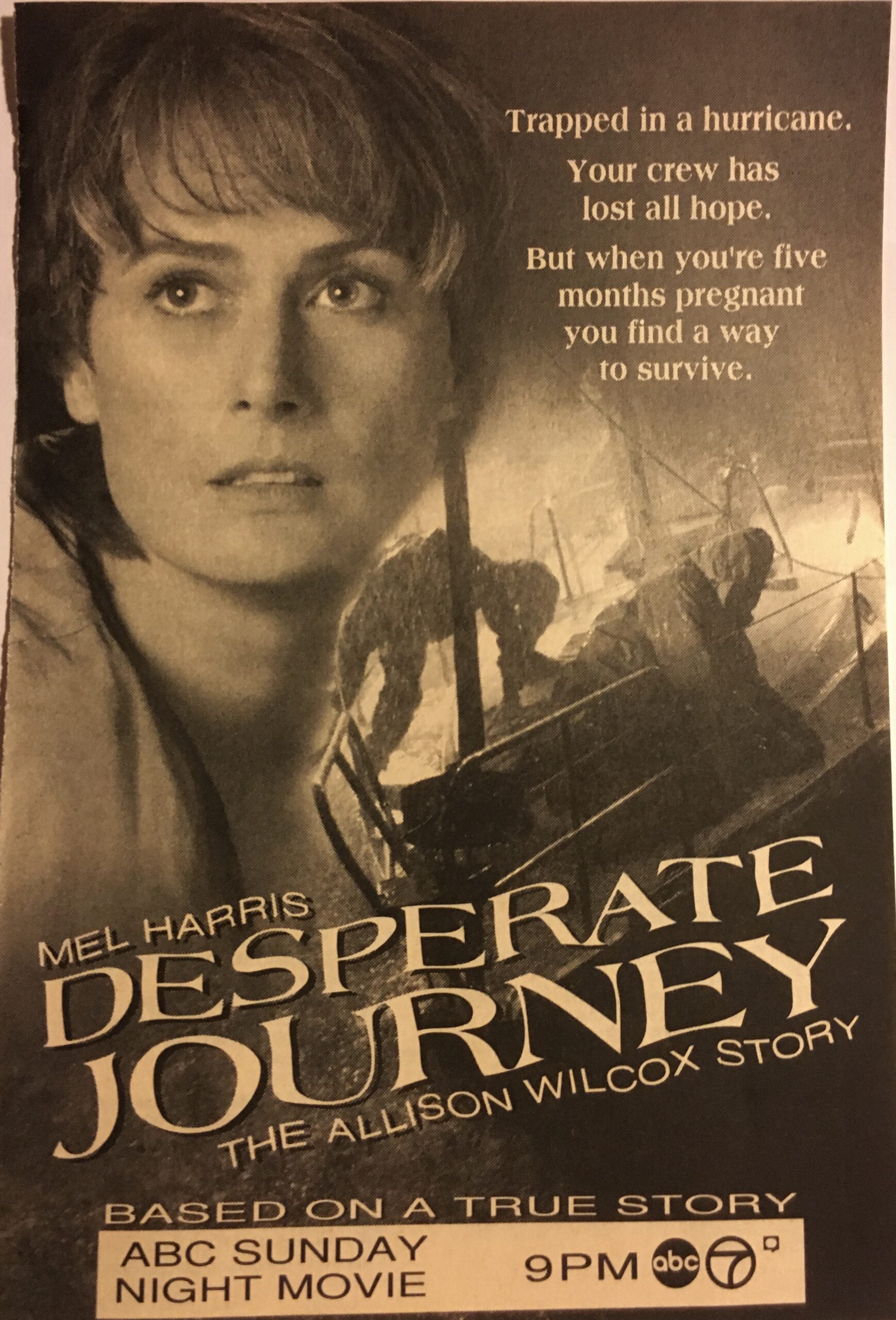 The Desperate Journey The Allison Wilcox Story Movie on DVD (1993) 1 The Desperate Journey The Allison Wilcox Story Movie on DVD (1993)