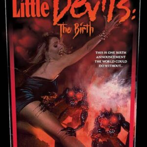 Little Devils The Birth Movie on DVD (1993)