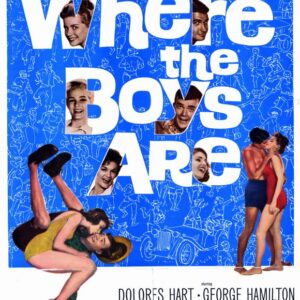 Where the Boys Are 84 Movie on DVD (1984)