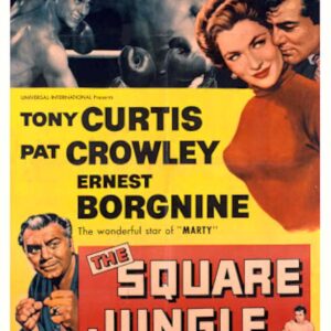 The Square Jungle Movie on DVD (1955)